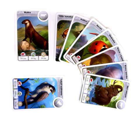 Cardline: Zwierzęta Cardline: Zwierzęta