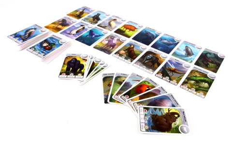 Cardline: Zwierzęta Cardline: Zwierzęta