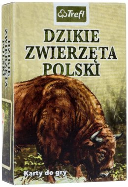 Karty: Dzikie zwierzęta Polski