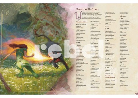 Dungeons & Dragons: Player's Handbook (Podręcznik Gracza) Dungeons & Dragons: Player's Handbook (Podręcznik Gracza)