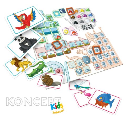 Koncept Kids: Zwierzaki Koncept Kids: Zwierzaki